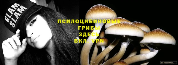 винт Нязепетровск