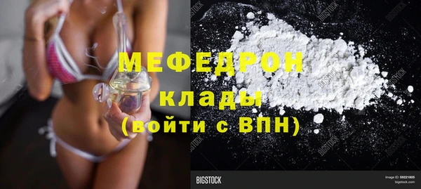 индика Няндома