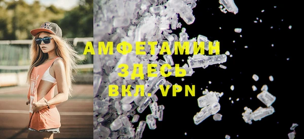 индика Няндома